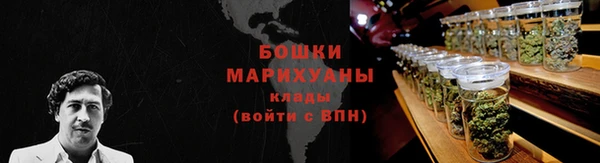 ПСИЛОЦИБИНОВЫЕ ГРИБЫ Протвино